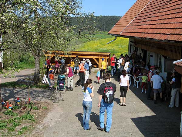 Maiwanderung Buchenberg 2005